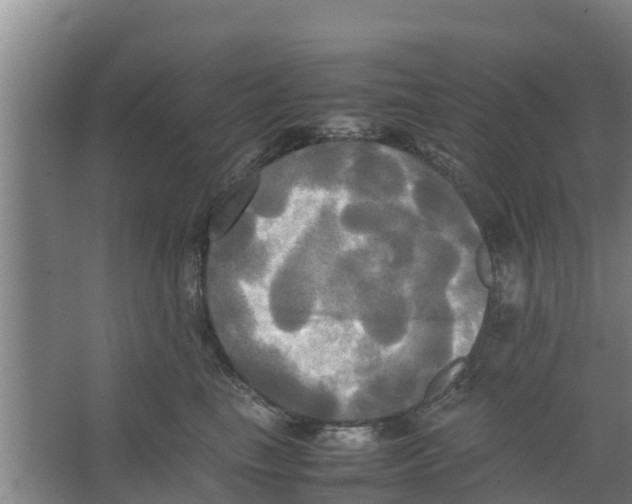 X0000066520665200604141815