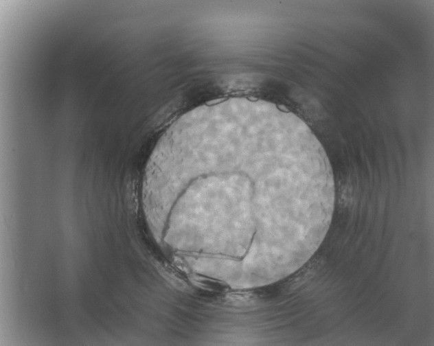 X0000066520666200604141815