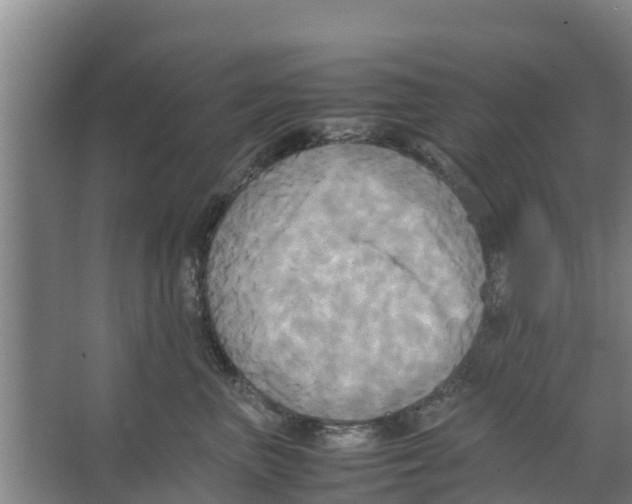 X0000066520667200604141815