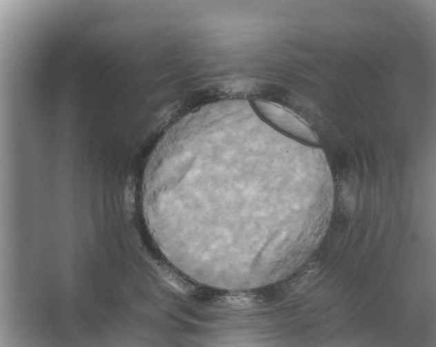 X0000066520668200604141815