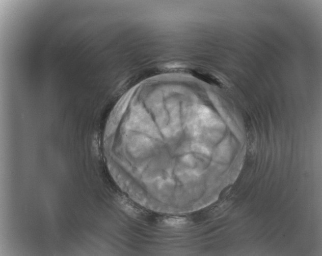 X0000066520669200604141815