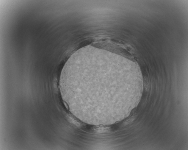 X0000066520670200604141815