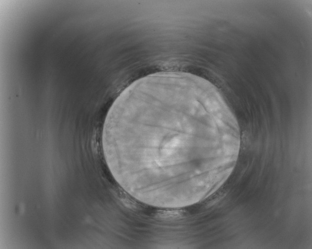 X0000066520671200604141815