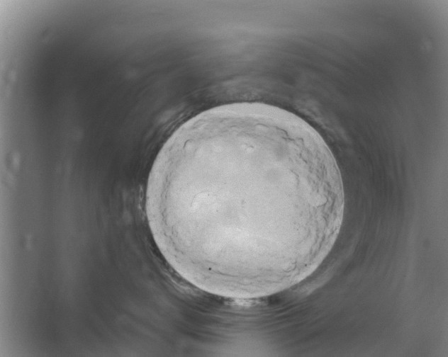 X0000066520672200604141815