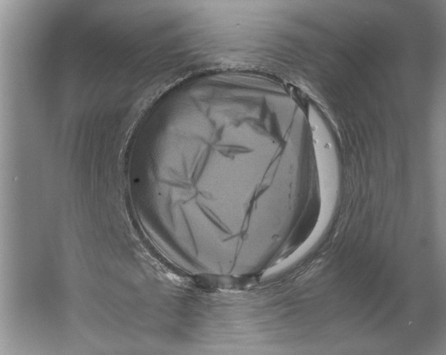 X0000066520673200604141815