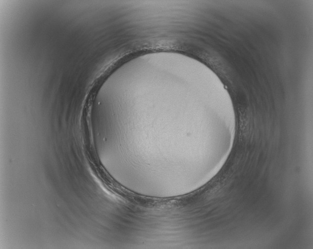 X0000066520674200604141814