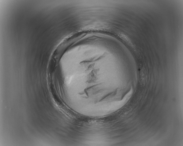 X0000066520680200604141814