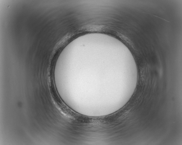 X0000066520682200604141814