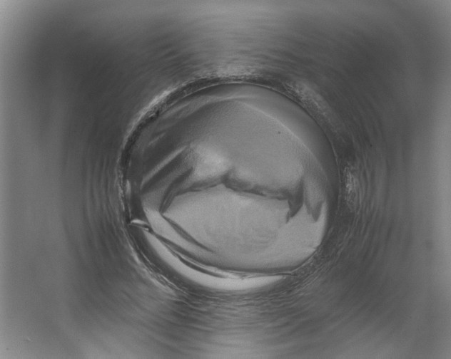 X0000066520684200604141814