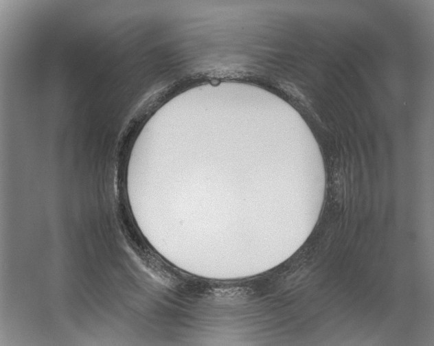 X0000066520686200604141814