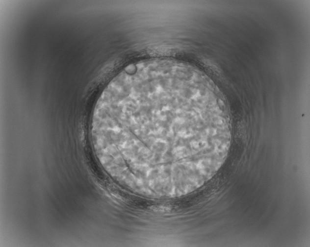 X0000066520687200604141814