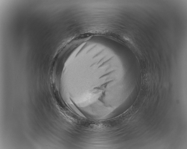 X0000066520688200604141814