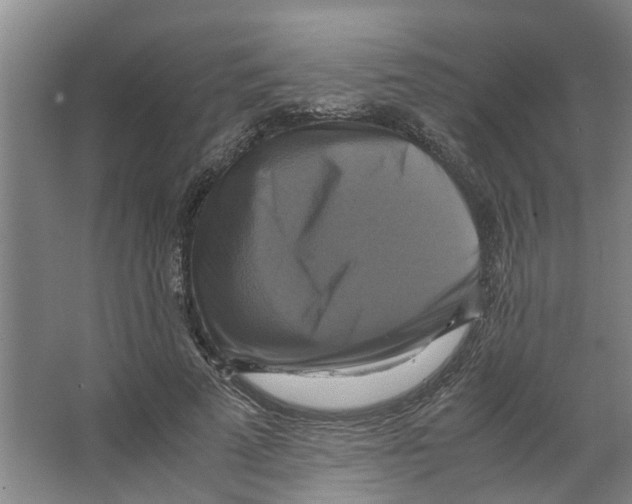 X0000066520689200604141814