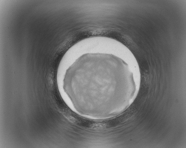 X0000066520691200604141814