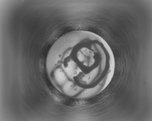 X0000066520695200604141814