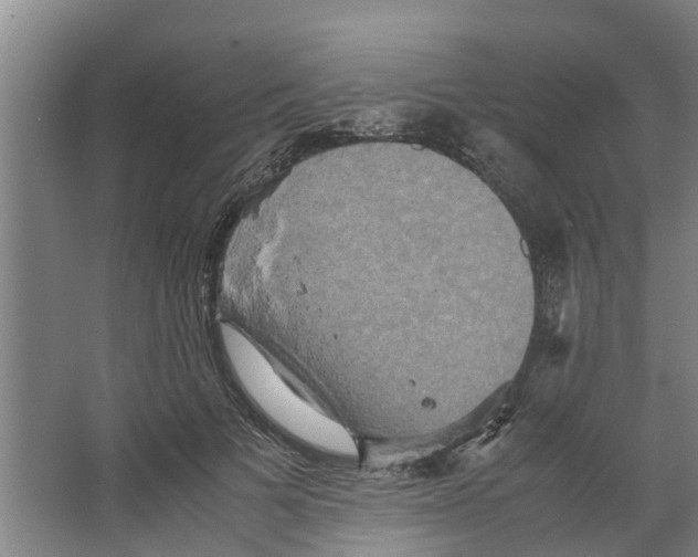 X0000066520697200604141814