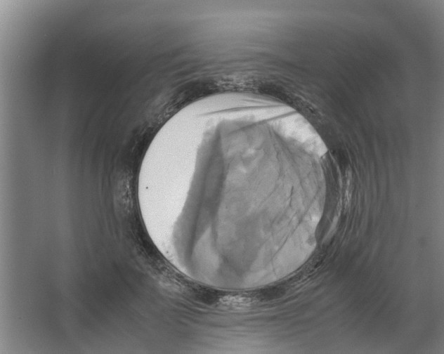 X0000066520699200604141814