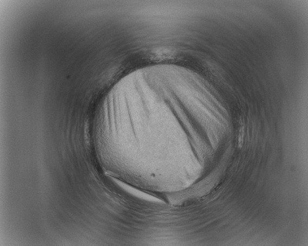 X0000066520700200604141814