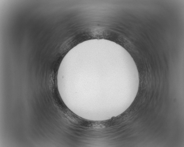 X0000066520702200604141814