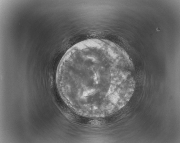 X0000066520703200604141814