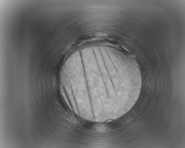 X0000066520704200604141814