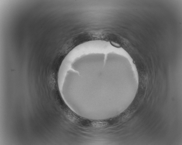 X0000066520707200604141814