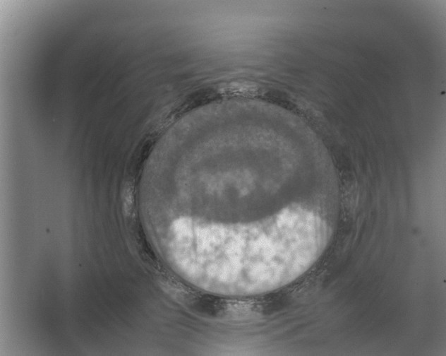 X0000066520709200604141814