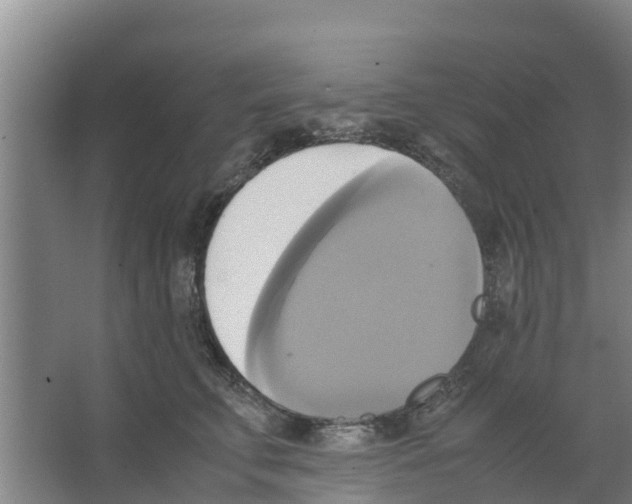 X0000066520711200604141814