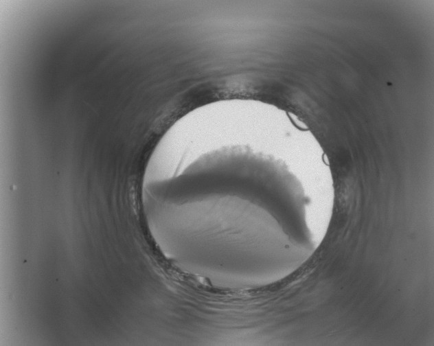 X0000066520715200604141814