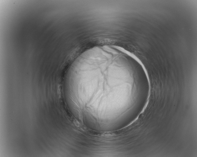 X0000066520716200604141814