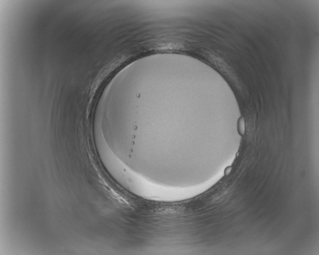 X0000066520721200604141813