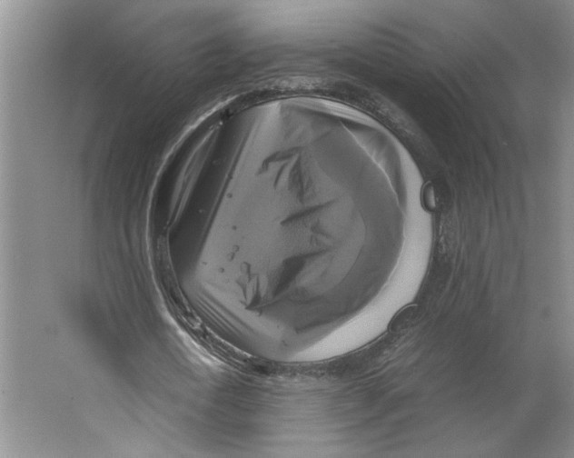 X0000066520722200604141813