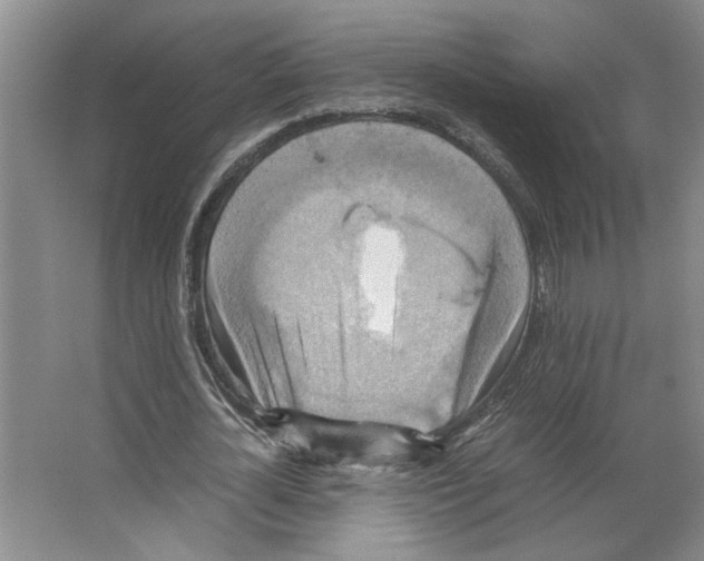 X0000066520724200604141813