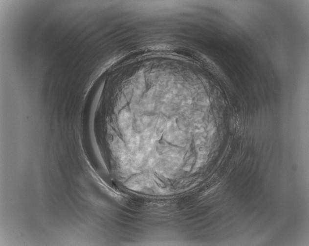 X0000066520725200604141813