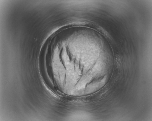 X0000066520726200604141813