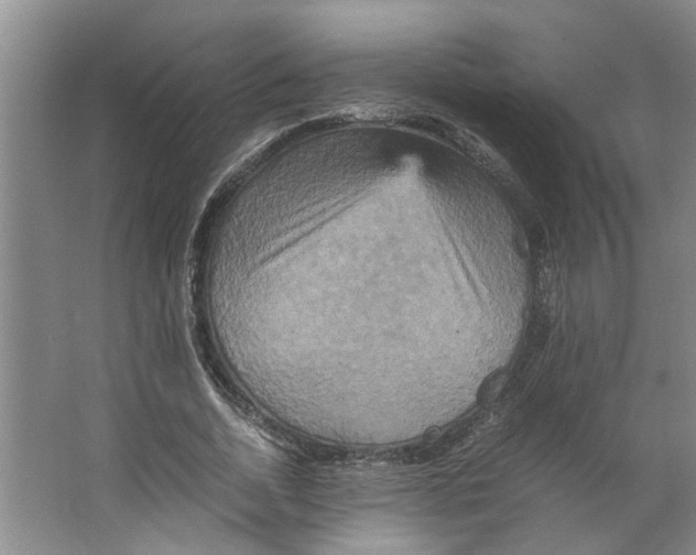 X0000066520730200604141813