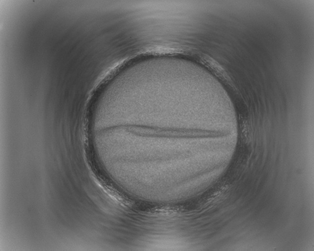 X0000066520732200604141813