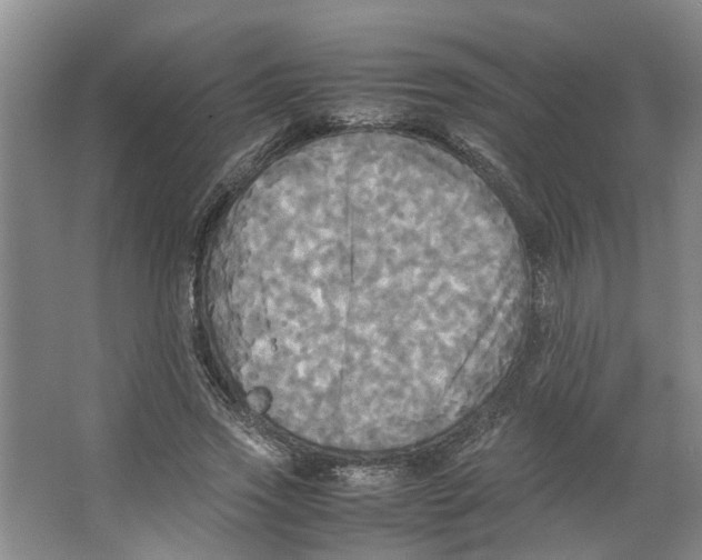 X0000066520733200604141813