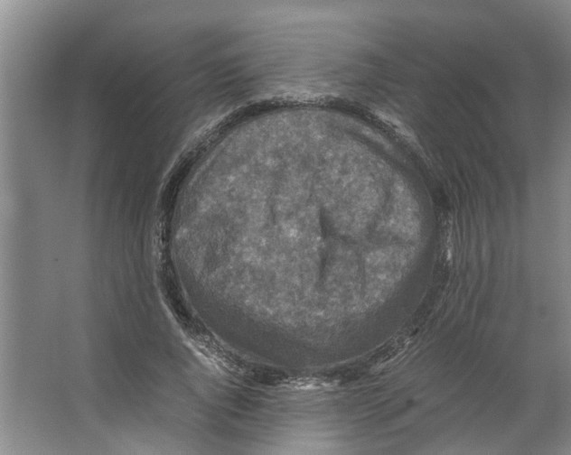 X0000066520736200604141813