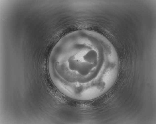 X0000066520737200604141813