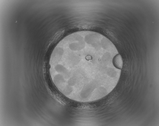 X0000066520738200604141813