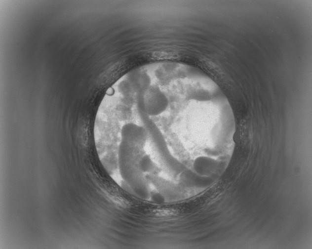 X0000066520741200604141813