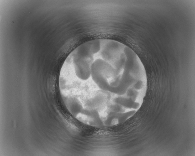 X0000066520742200604141813