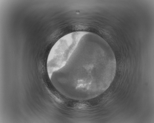 X0000066520743200604141813