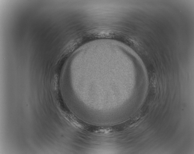 X0000066520744200604141813