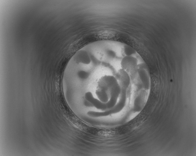 X0000066520745200604141813