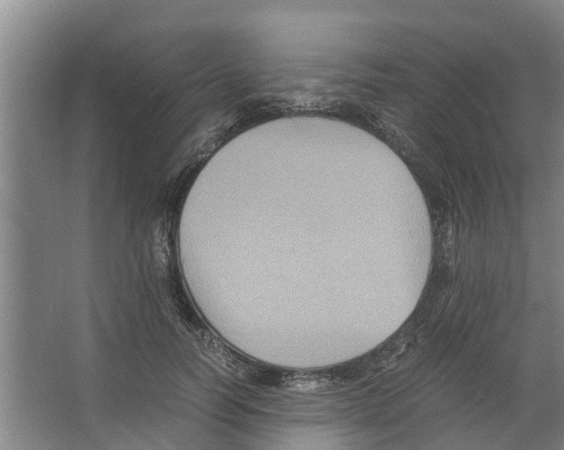 X0000066520746200604141813