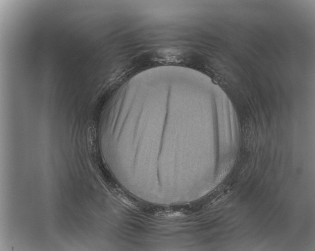 X0000066520747200604141813