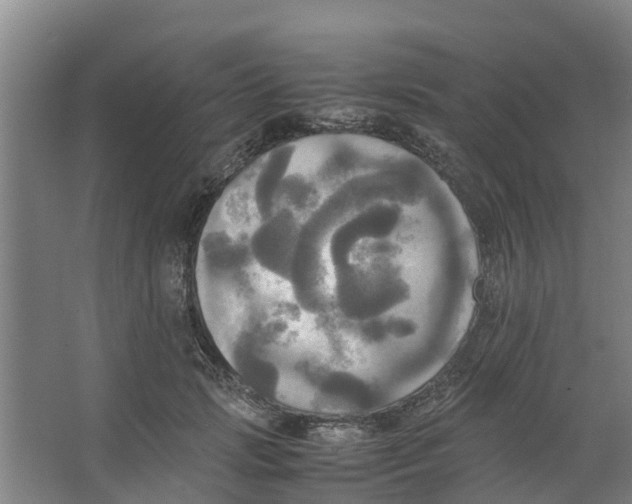 X0000066520749200604141813