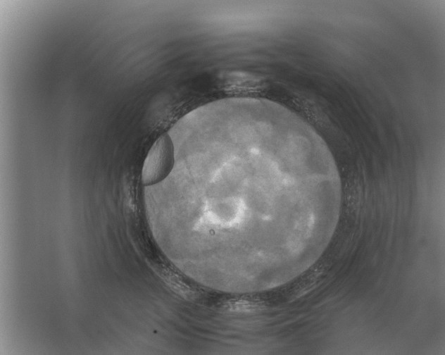 X0000066520755200604141813